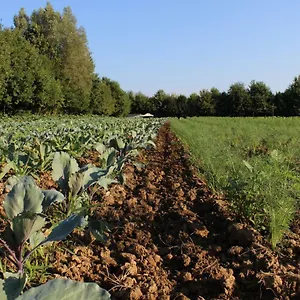 Corte Bertesina Alloggio per agriturismo
